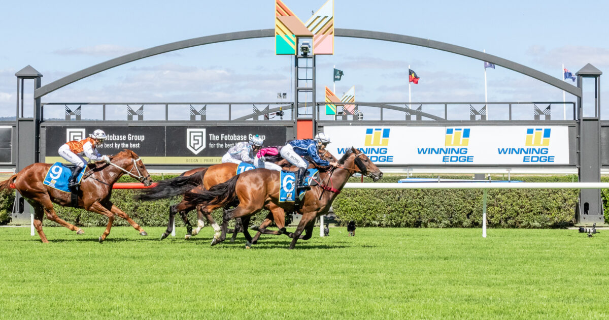 Neil Murrary Neil Farley • Jockey Profile • Racing SA