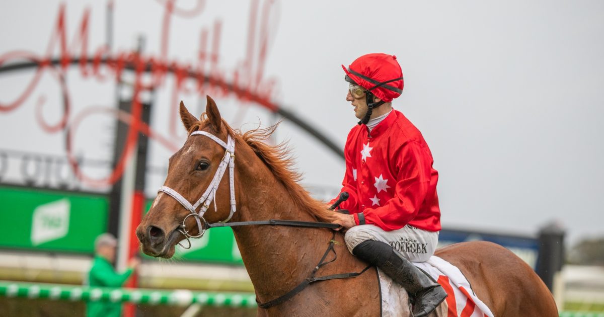 Question marks erased in an Instant • Racing SA