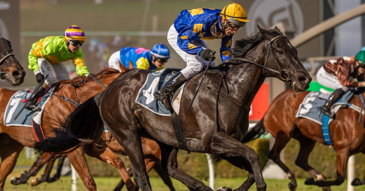 Trainer’s Knight vision to be rewarded • Racing SA