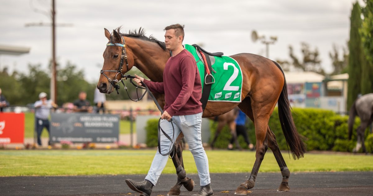 Jake’s passion leads to new career pathway • Racing SA