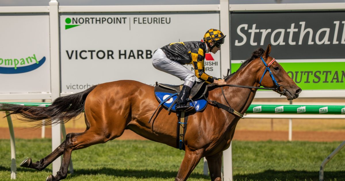 Big Behemoth ticks all boxes in gallop • Racing SA