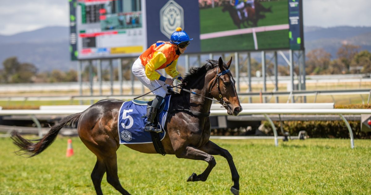 Artful Libby continues Hopwood's thoroughbred journey • Racing SA