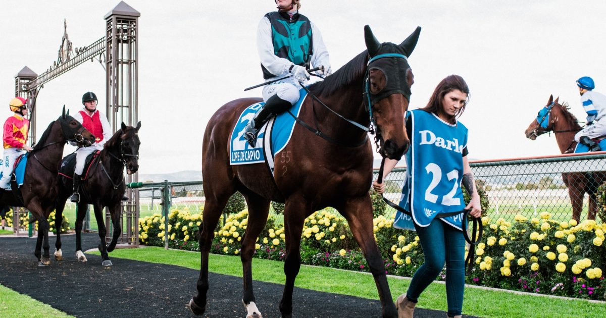 Kah speeding up riding ranks • Racing SA