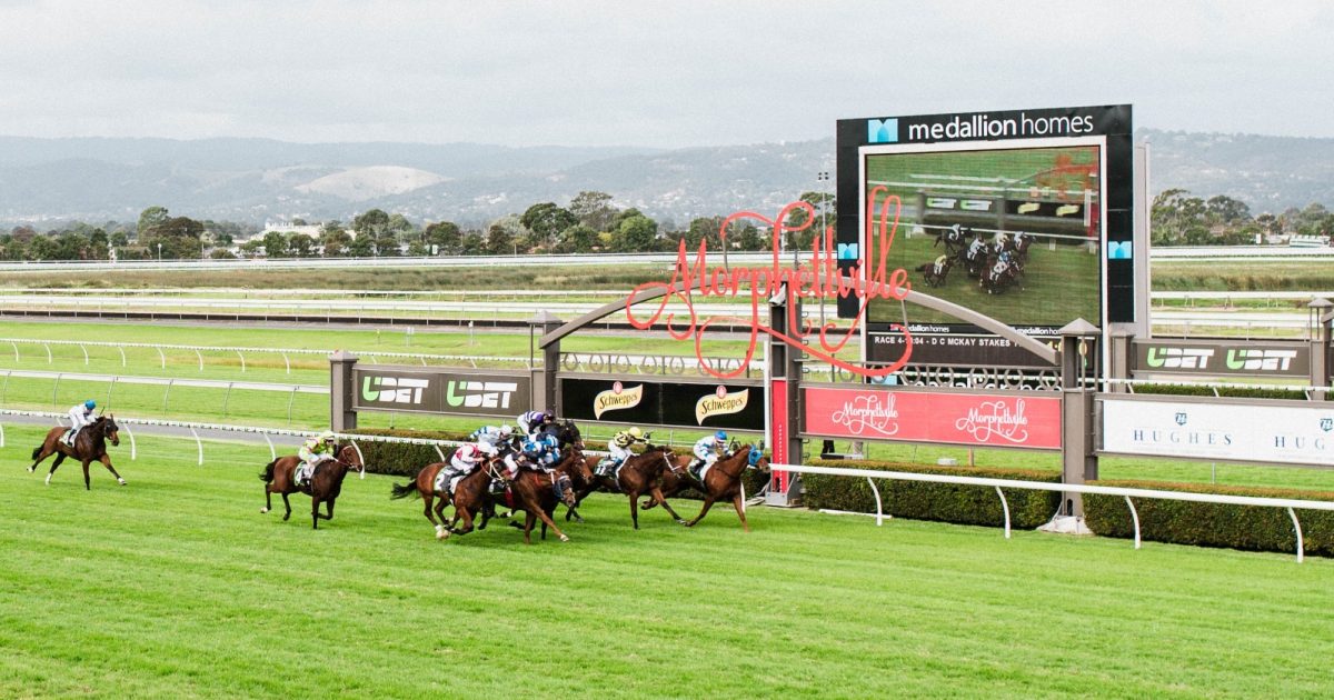 Tantalizing Support Card for a Massive Oaks Day • Racing SA