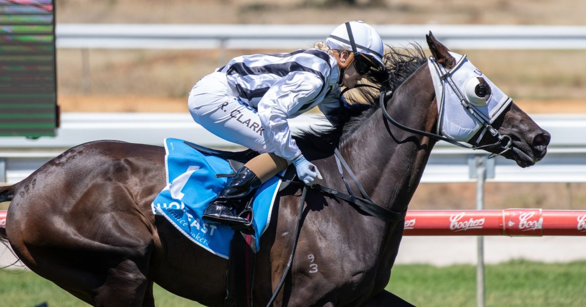 Bob and Balf have plenty riding on the Birthday Cup • Racing SA