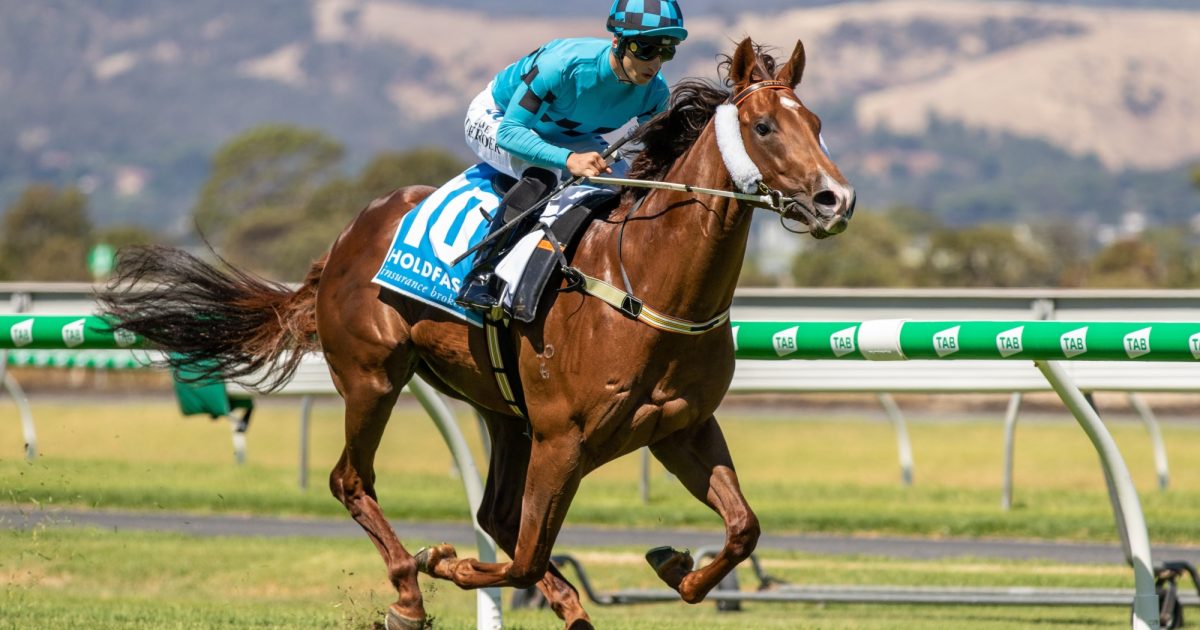 SA’s All Stars Want their Chance at the Mile • Racing SA