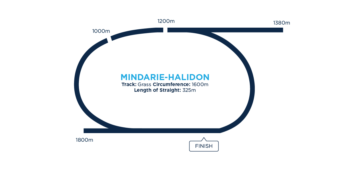 Haxylon Mindarie-Halidon • Sun 19 Oct 2025 • Racing SA